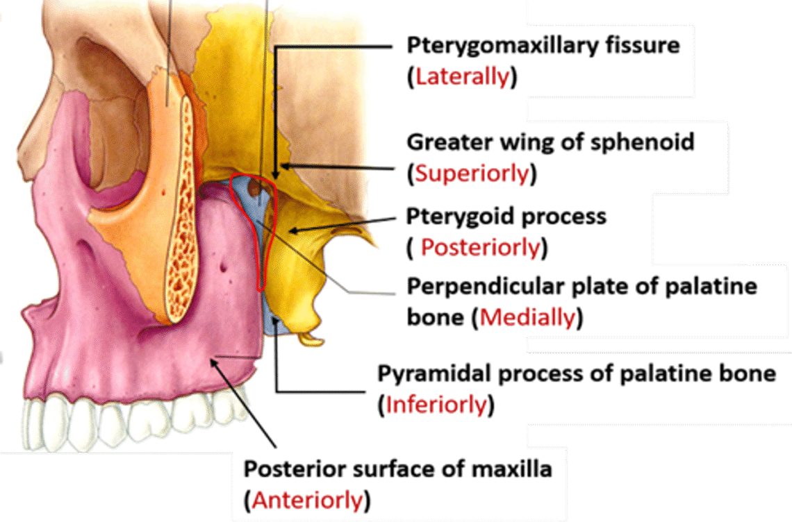Ficulititotemporal